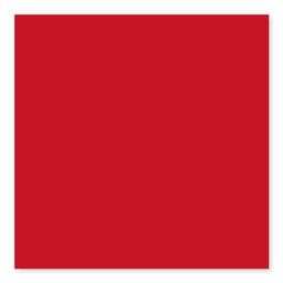 BG RED PEPPER 3X6 - wq10oxpkg5txt6t4r3ry@2x.jpg