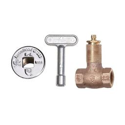 Heavy Duty Straight Gas Log Lighter Valve With Chrome Flange and Key, 1/2 in, FNPT - wqpantotmixxaaxd3kjf_x500.jpg