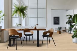 Cashmere Gold - wqwvebbqzfazzbiayh9y@2x.jpg