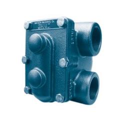 Steam Trap, 1 in, FNPT, Cast Iron - wr5x5vswnzacdpma6sia@2x.jpg