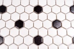 1x1 White and Black Hexagon - wrameyusma1ces0ywuqx@2x.jpg