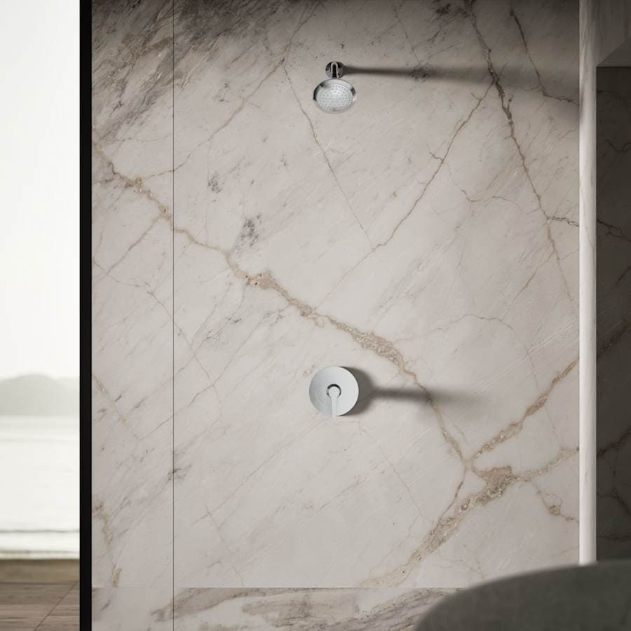 Forte 2.5 GPM Single Function Shower Head with Katalyst Air-induction Technology - wsssetodwaaw3uf74jhx@2x.jpg