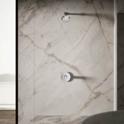 Forte 2.5 GPM Single Function Shower Head with Katalyst Air-induction Technology - wsssetodwaaw3uf74jhx@2x.jpg