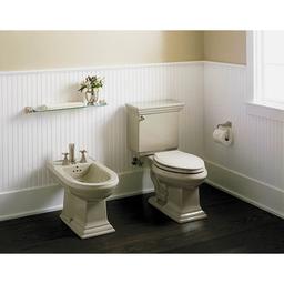 Memoirs bidet, plumbed for vertical spray bidet faucet - wubfxceu2kkal8pivy1t_x500.jpg