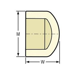 Cap, 3/4 in, Socket, SCH 40/STD, CPVC - wuiryebsenv1pzhokzcd@2x.jpg