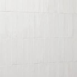 Rice Bianco Rectangle 3X8 Glossy - wvbpn1hnmk5g6d7xbybj@2x.jpg