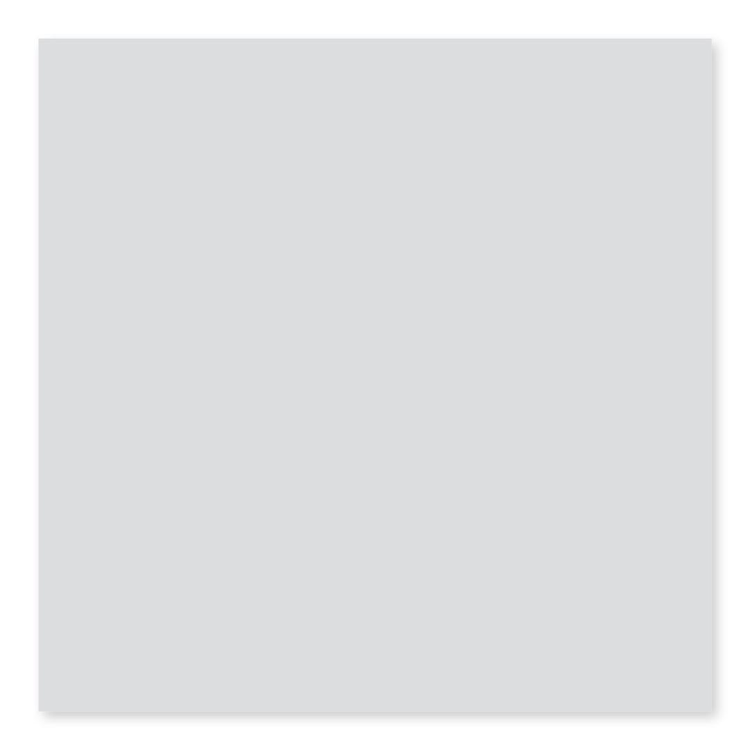 BG TENDER GRAY 4X12 - wvjorl0nkphuiezmzp38@2x.jpg
