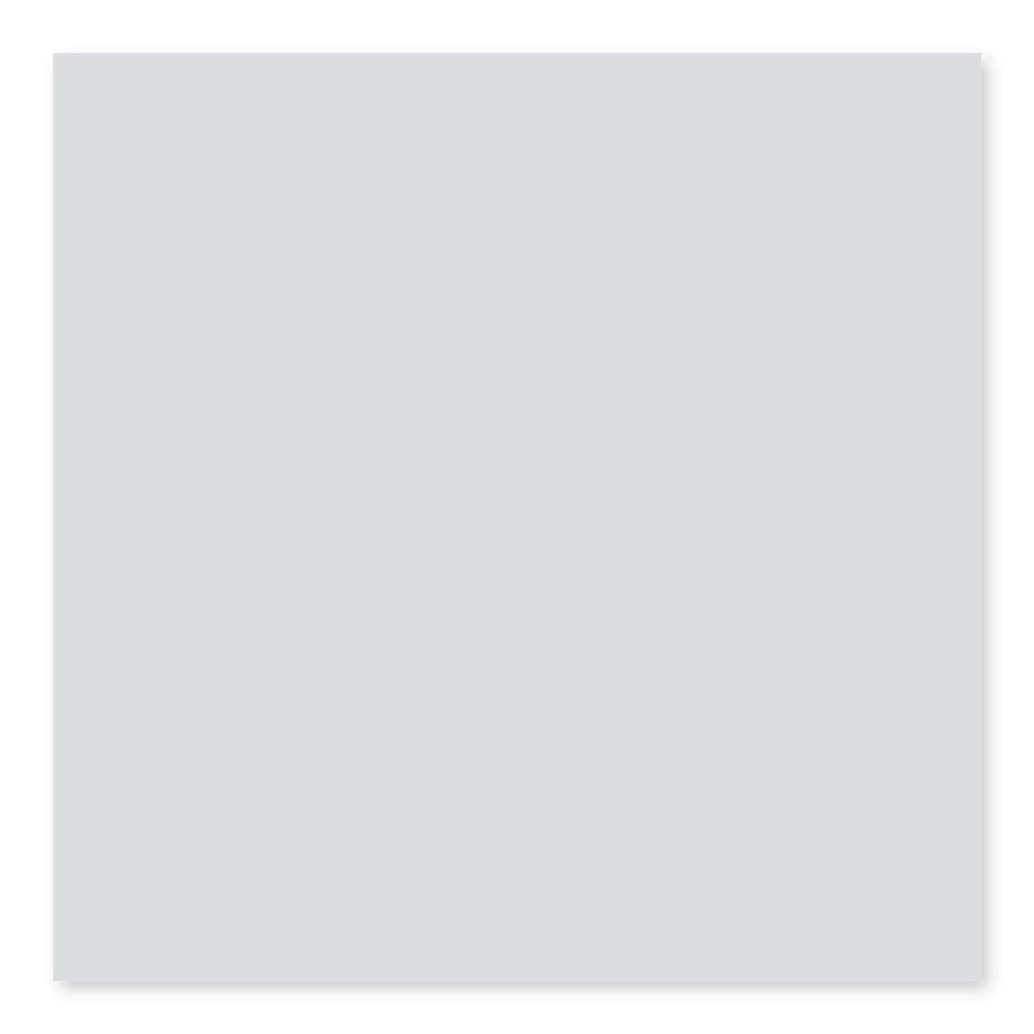 BG TENDER GRAY 4X12
