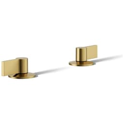 Components Lever Handles for Bathroom Faucet - wxmxitxuwnzkrki0vnbq@2x.jpg