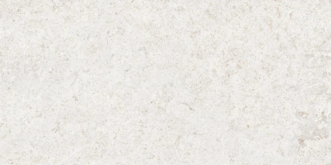 12X24 BASALT FD WHITE - wxxk4rczzvznclkeb5fy@2x.jpg