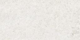 12X24 BASALT FD WHITE - wxxk4rczzvznclkeb5fy@2x.jpg