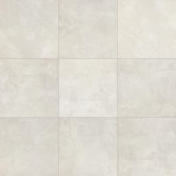 Prime Heirloom White Square 18X18 Matte - wxxrgdov5nbpmmrddsaf@2x.jpg