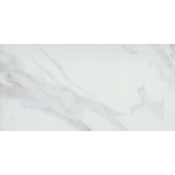 SERENDRA LUNA MT 12X24 - x1ktu12ptf9i0upqnw5v@2x.jpg