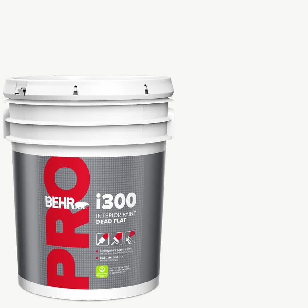 Behr Pro 5gal Antique White - i300 Flat - x2ffnmcifqnkw7fiaifl@2x.jpg