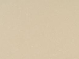 Champagne Limestone Engineered Marble - x2gguqvywa2mx4rl7jm6_x500.jpg