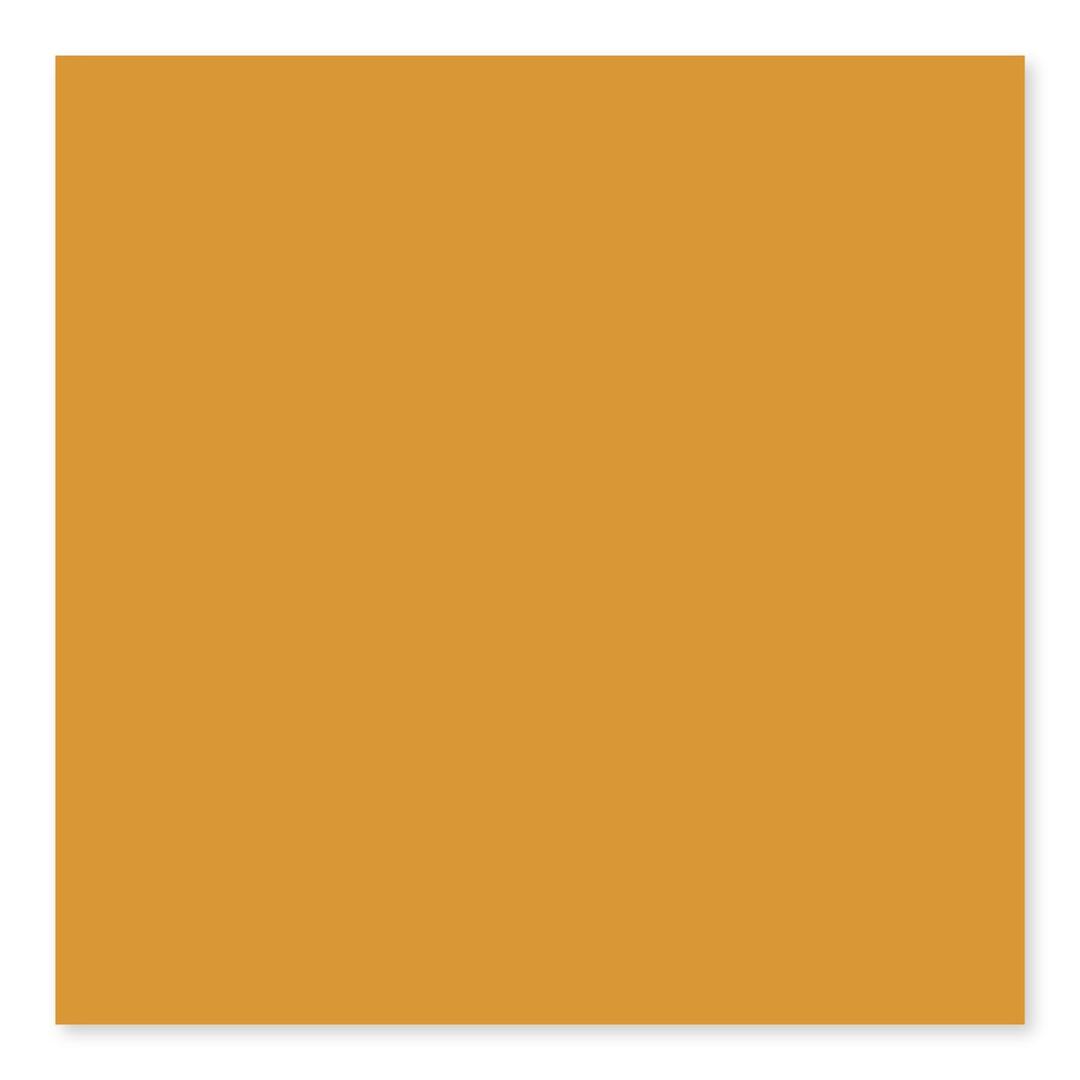 BG MUSTARD 3X6 - x5btcc1woinwowxjc54c@2x.jpg