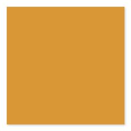 BG MUSTARD 3X6 - x5btcc1woinwowxjc54c@2x.jpg