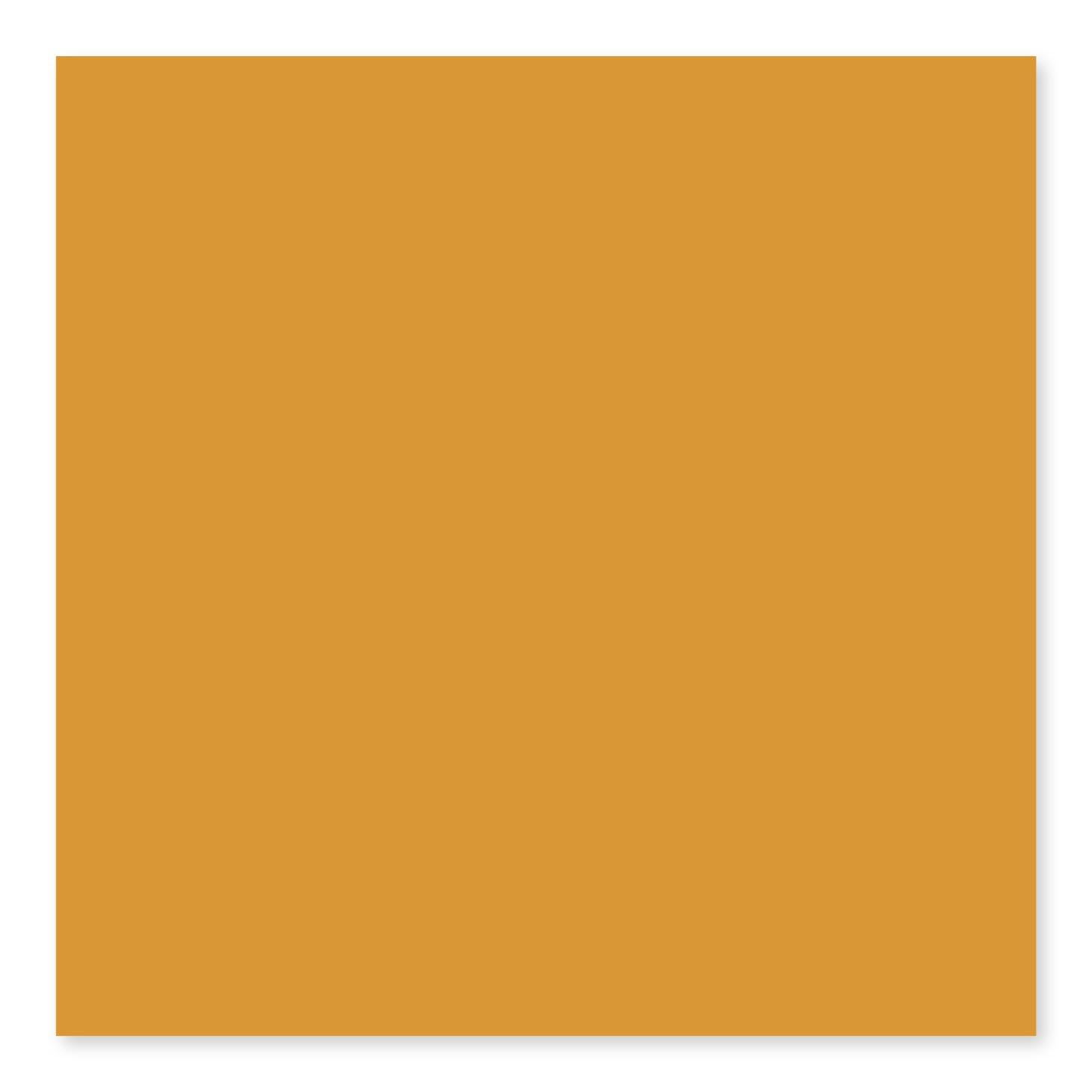 BG MUSTARD 3X6