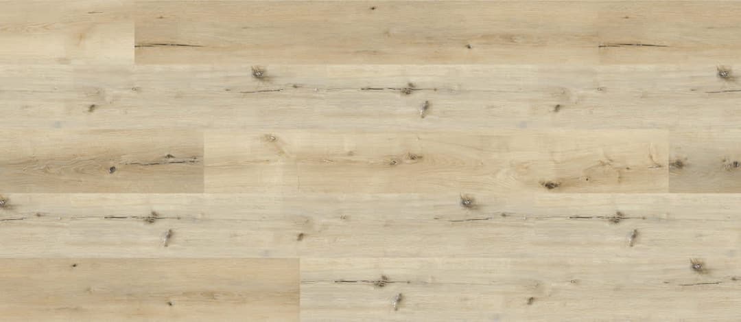 Canyon Oak - x9oivy1jsyr9iui6n4on@2x.jpg
