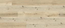 Canyon Oak - x9oivy1jsyr9iui6n4on@2x.jpg
