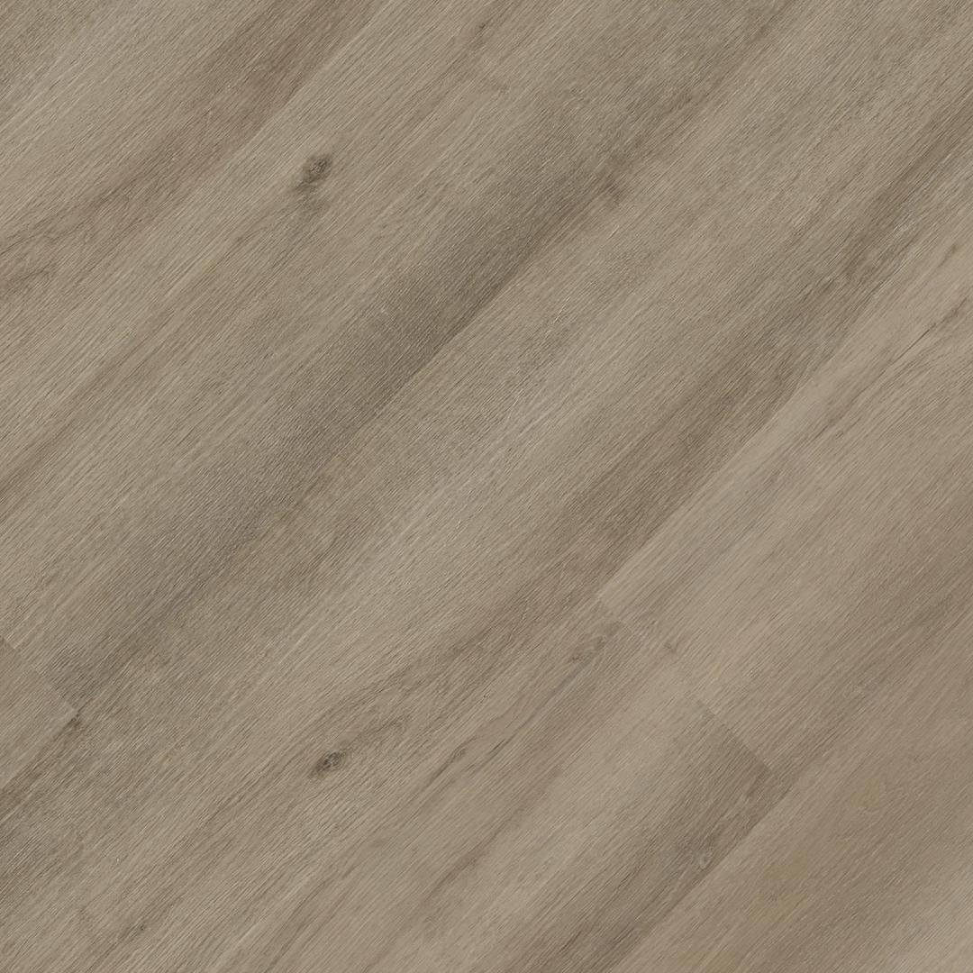 StudioTM Lark - xaf9ajxe1tpukkdllarz@2x.jpg