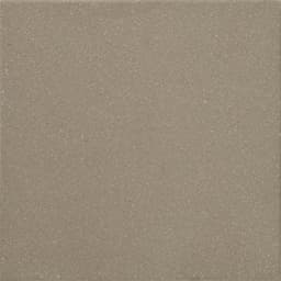 Quarry Textures Ashen Gray Square 8X8 Abrasive - xba8dln7ibufog7rvmnv@2x.jpg