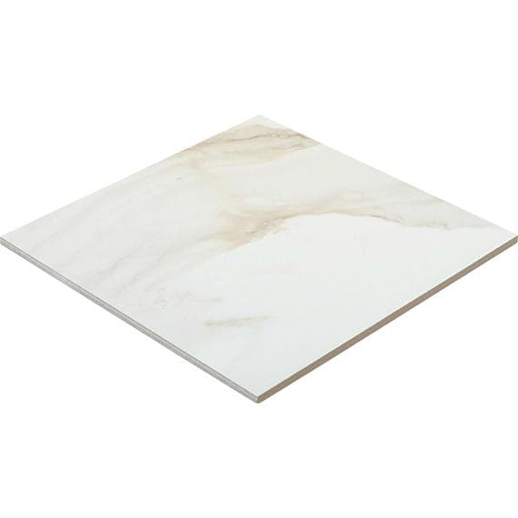 Platinum Magnolia Rectangle 12X24 Matte - xe2tjpoudrhwbq47uzdy@2x.jpg