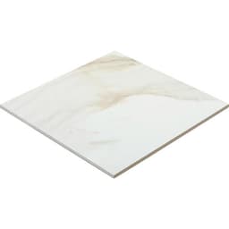 Platinum Magnolia Rectangle 12X24 Matte - xe2tjpoudrhwbq47uzdy@2x.jpg