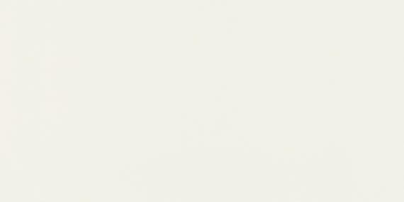 Pure Frost White Square 24X24 Polished - xe56cmc8mpsqyannl5cn@2x.jpg