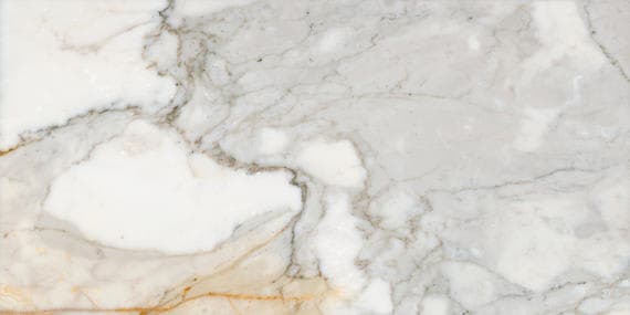 Marble Calacatta Gold Square 12X12 Honed - xedrncwsbjhngk7qkvo9@2x.jpg
