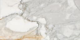 Marble Calacatta Gold Square 12X12 Honed - xedrncwsbjhngk7qkvo9@2x.jpg