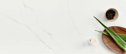 Pre Fab Calacatta Trevi® - xfpgtauvigkcxggps4qe@2x.jpg