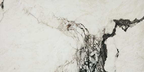 Savoir Noir Rectangle 12X24 Polished - xhkvwhhqx9qqxgqankeo@2x.jpg