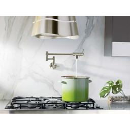 5.5 GPM Wall Mounted Double Handle Pot Filler - xi3zngslb5opeopqpktc@2x.jpg