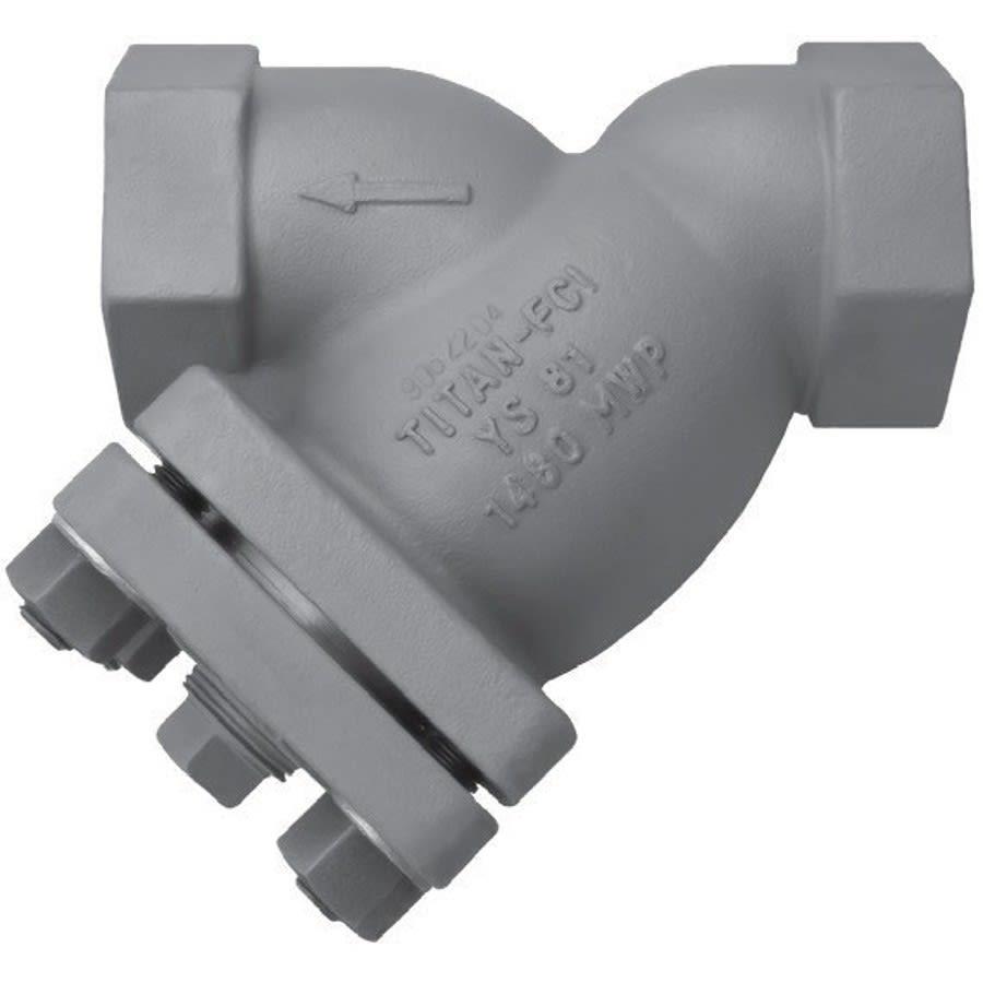Strainer, 1/2 in, FNPT, Carbon Steel - xiulfevluotyvpiqjl8f@2x.jpg