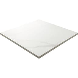 Artsy Studio Carrara Rectangle 12X24 Matte - xlrv3jrxs3omvldzwfqa@2x.jpg