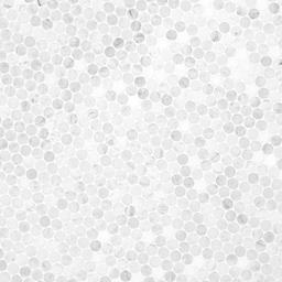 Carrara White Round Pattern Honed - xltxnbxgmgusa86ipncz@2x.jpg