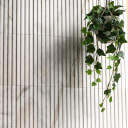 Arabescato Venato Tile Slat Honed - xm2ght5f03rbxc75htll@2x.jpg