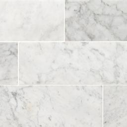 Carrara White Marble Tile - xm3ke45pzuucbycl2ooa@2x.jpg