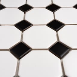 White and Black Octagon - xojaqwr1lhulrbysqdk2@2x.jpg