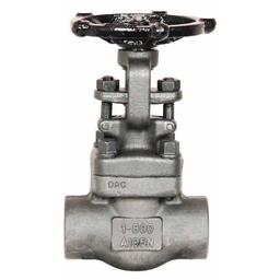 851 OS&Y Gate Valve, 1-1/4 in, FNPT, Forged Steel - xsfb2lqrwow0esb3vcew_800x500@2x.jpg
