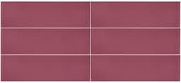 Stencil Berry Rectangle 4X12 Matte - xsgzncofnpmhjfkcqjhs@2x.jpg