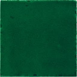 Natural Hues Fern Square 12X12 Matte - xsh0j4ydhe2zih24zga3@2x.jpg