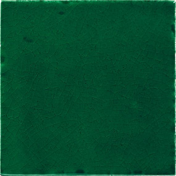 Natural Hues Fern Square 12X12 Matte - xsh0j4ydhe2zih24zga3@2x.jpg