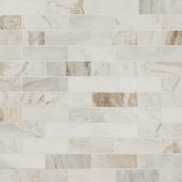 Arabescato Venato Tile - xtqdykzq1vx6dswv8jcw@2x.jpg
