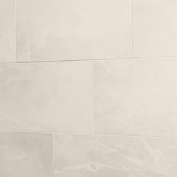 Artsy Gallery Pearl Rectangle 12X24 Matte - xtrq0dzfgexy8qadxzvd@2x.jpg