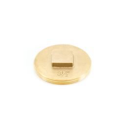Raised Head Cleanout Plug, 3-1/2 in, Brass - xu08eaqahlonldgu49jm_800x500@2x.jpg