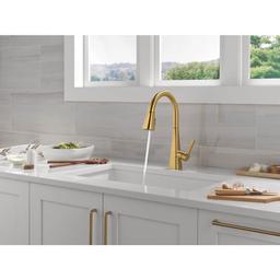 Lenta Single-Handle Pull-Down Kitchen Faucet with ShieldSpray - xuie0qbxfvelhrfkyfo1@2x.jpg