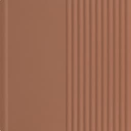 Rhyme and Reason Warm Terracotta Hexagon 4X4 Matte - xwb23fzuwlgw5529gxvs@2x.jpg