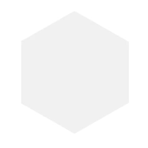 BLOCK HEXAGON BLANCO MATTE 5X6